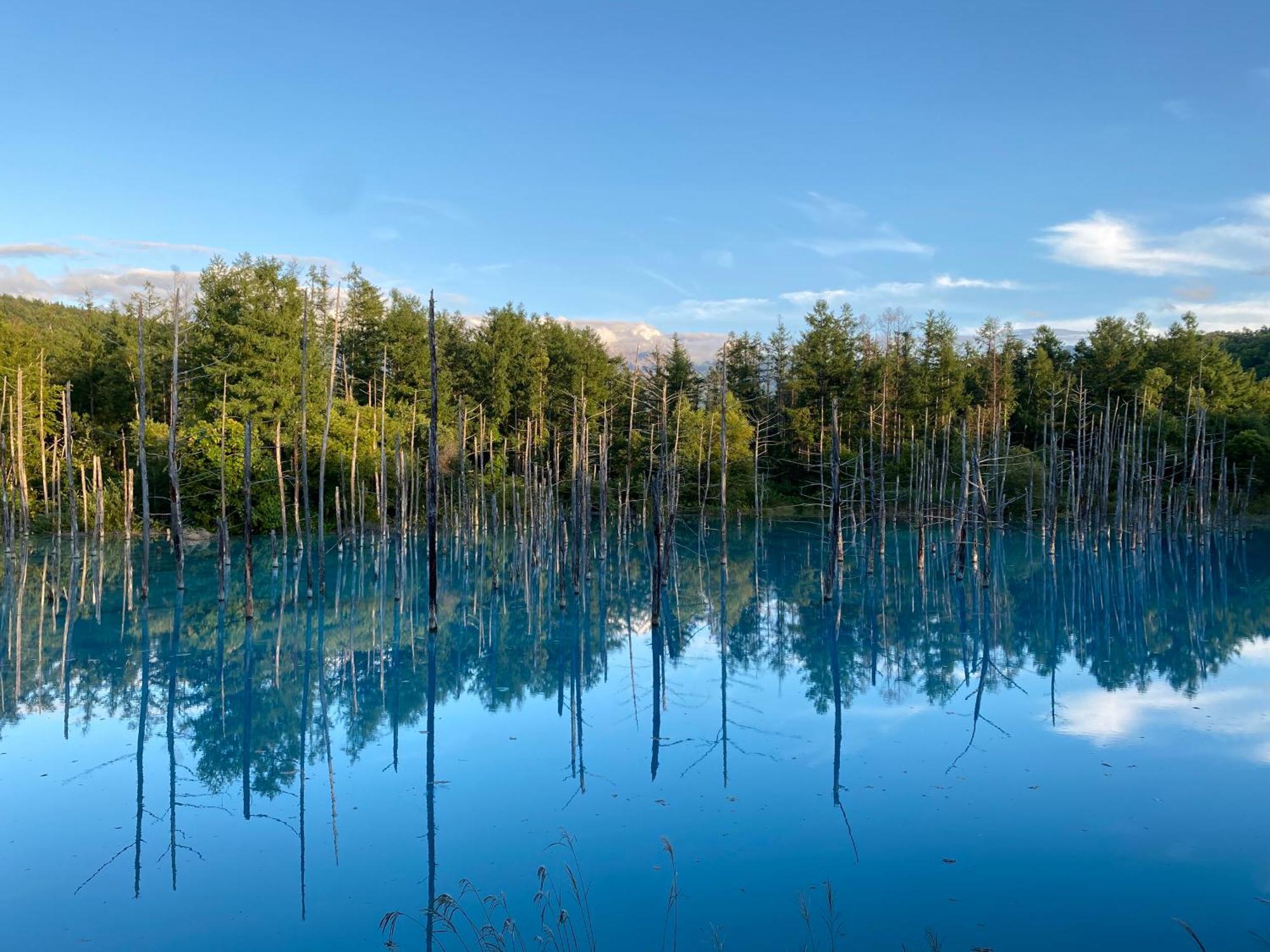 Hotel Naturwald Nakafurano Dış mekan fotoğraf